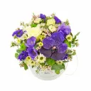 Violet